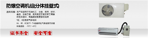 10p船舶特种防爆空调图片